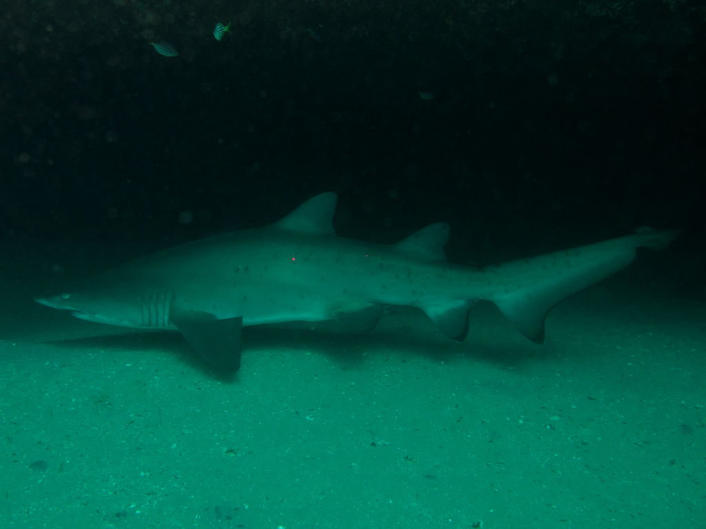 e5ae93f6-fb1a-4709-873c-376aa1edd592