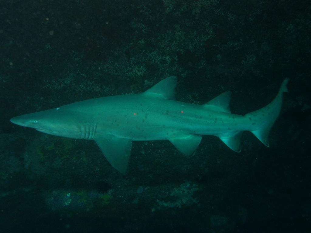 0e969c1c-8f32-4a6a-9584-6977c596b565