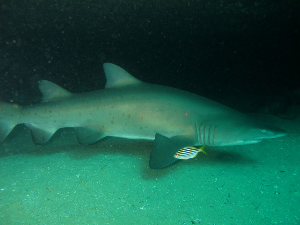 61eb053d-30cd-479e-9424-d000ef23dd8a