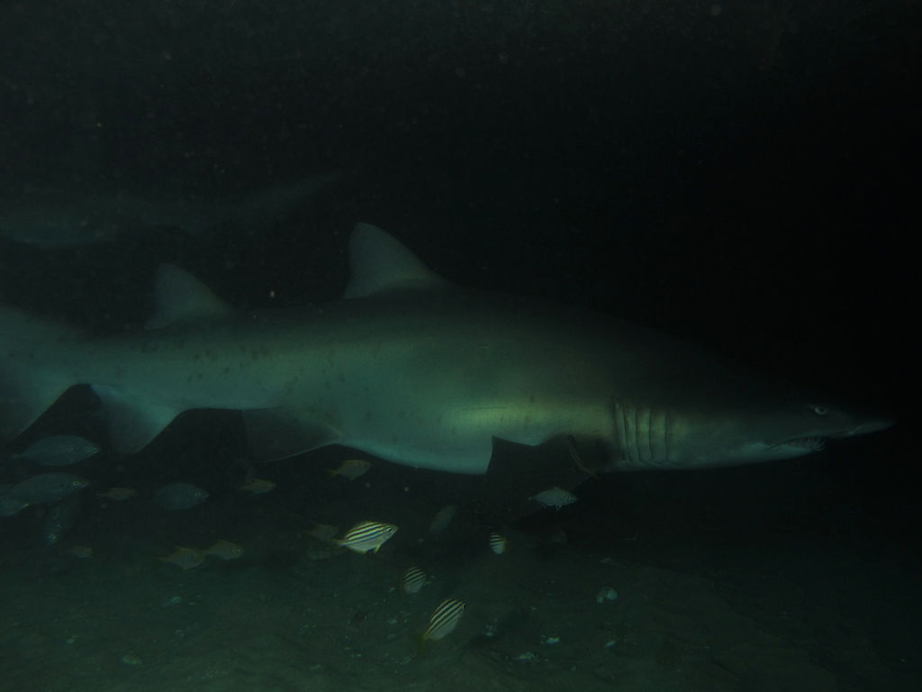 026832fa-2120-4b0f-a498-829b9e29e686