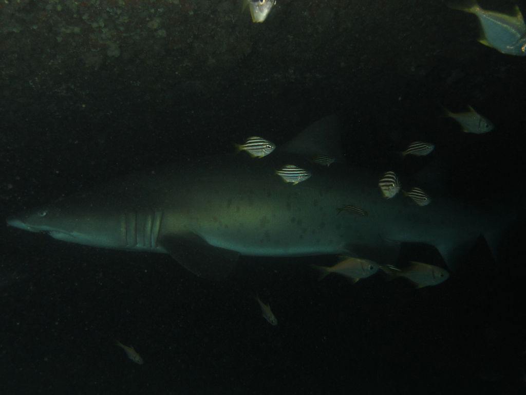 d67f5e40-e8f7-40b7-a9e7-7e97d00dab6d