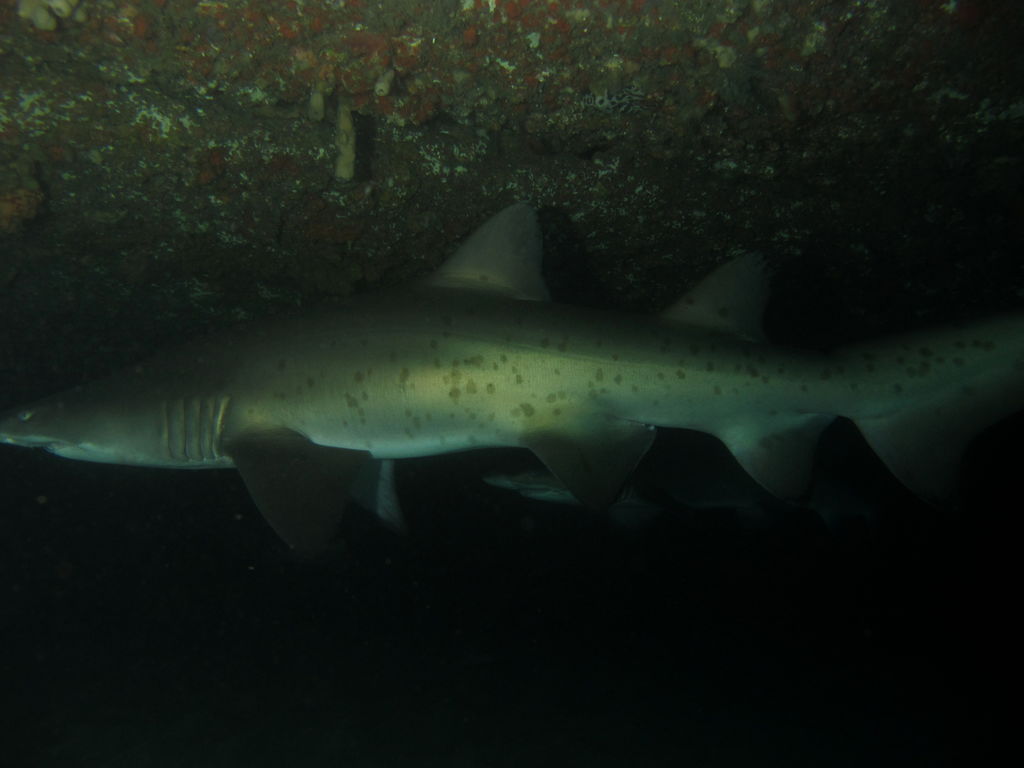 471ffc09-5d97-418e-93e8-0e72ee8a2866