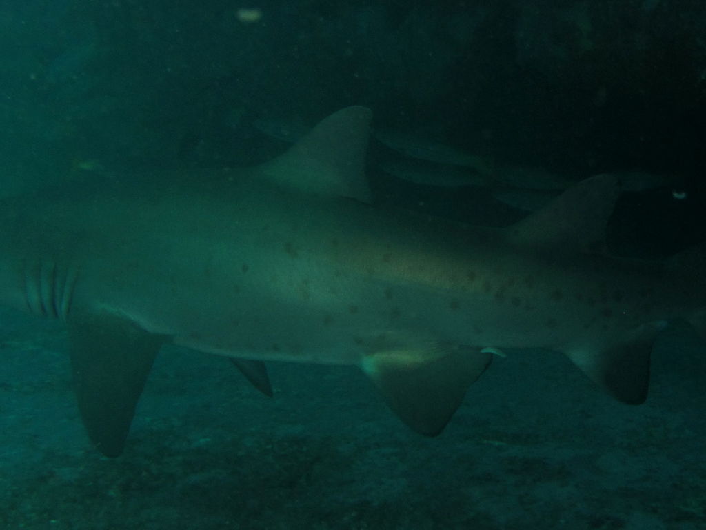 82db6819-686b-47de-926b-597e44b62986