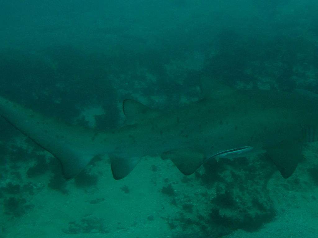 78daf496-5398-4bae-ad42-d124b02dd06e