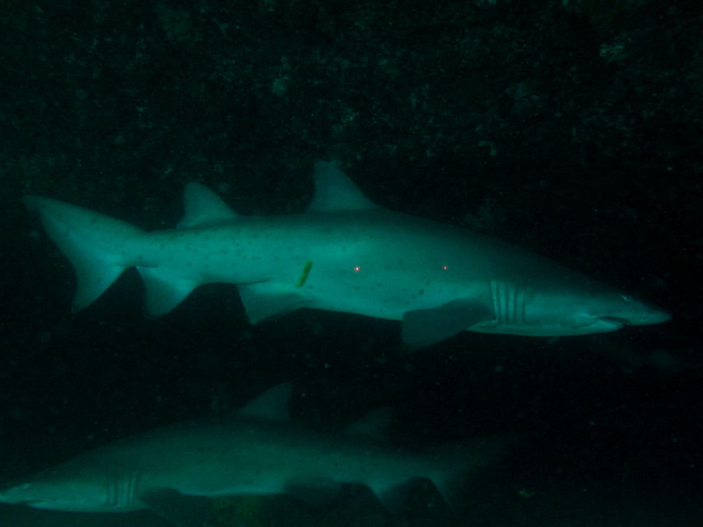 3d4a659b-66ae-4d73-b9bf-4a0c3b753f03