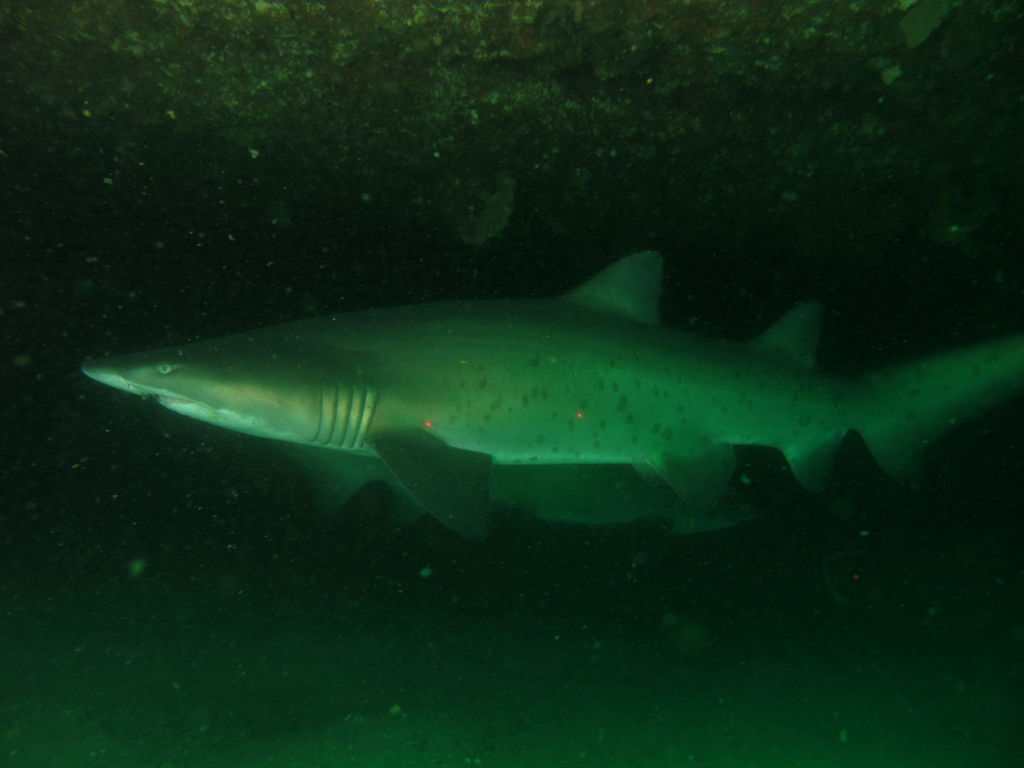 cfbcc5e4-c24a-4521-afb5-b13dc0074cd3