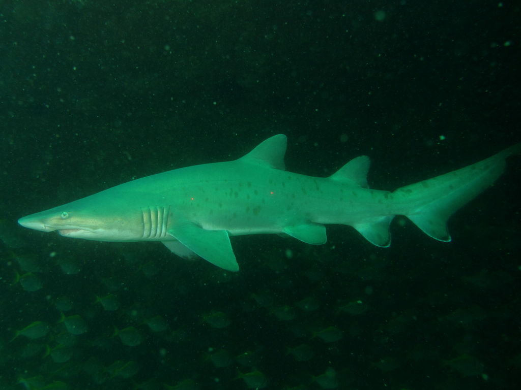 ddd340a0-180e-439d-abea-7d3613801d16