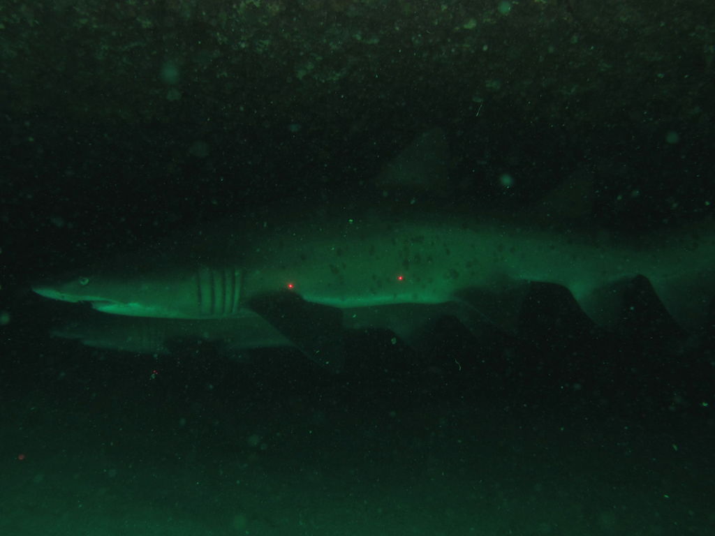 471ffc09-5d97-418e-93e8-0e72ee8a2866