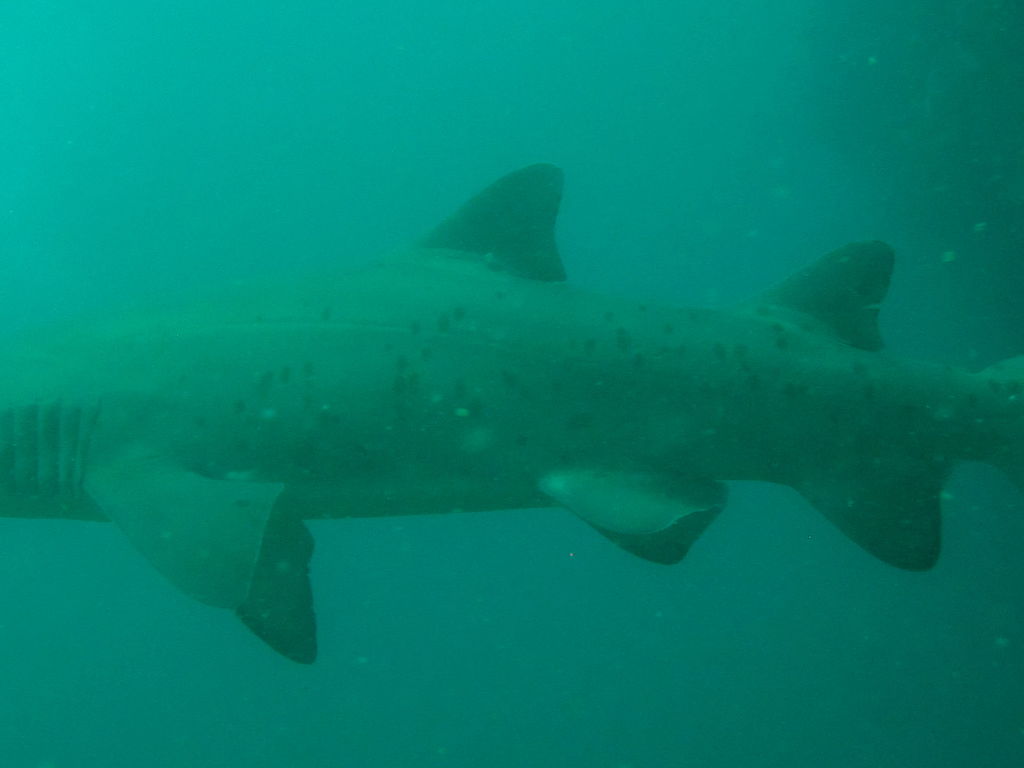 b53eb322-4a2a-4b69-8ada-9fb84a907647