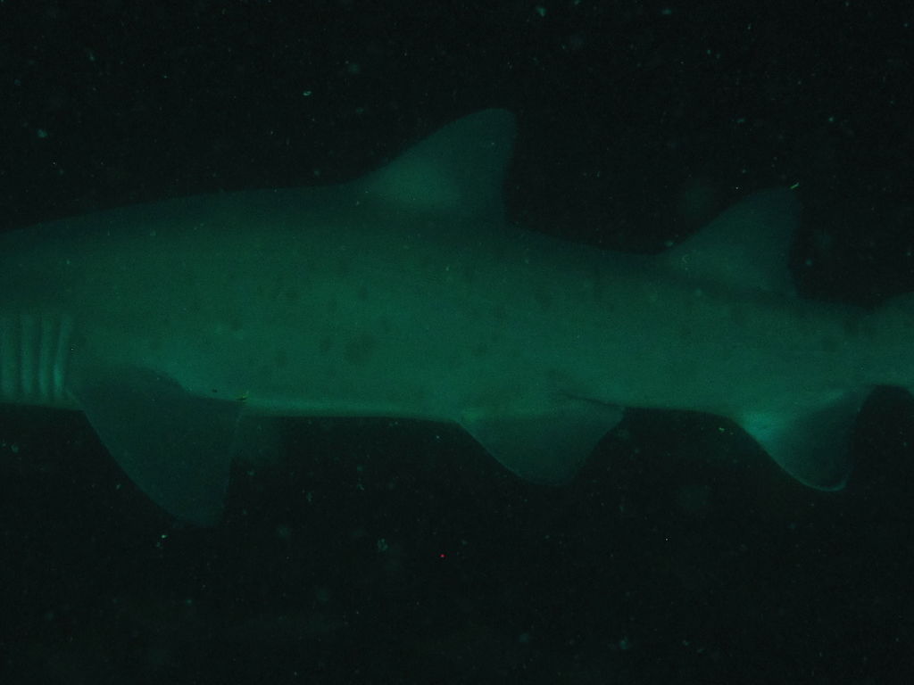 ddd340a0-180e-439d-abea-7d3613801d16