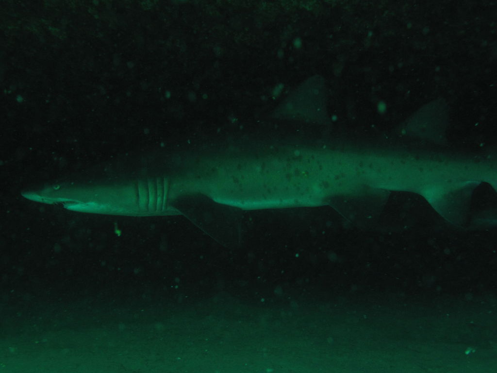 471ffc09-5d97-418e-93e8-0e72ee8a2866