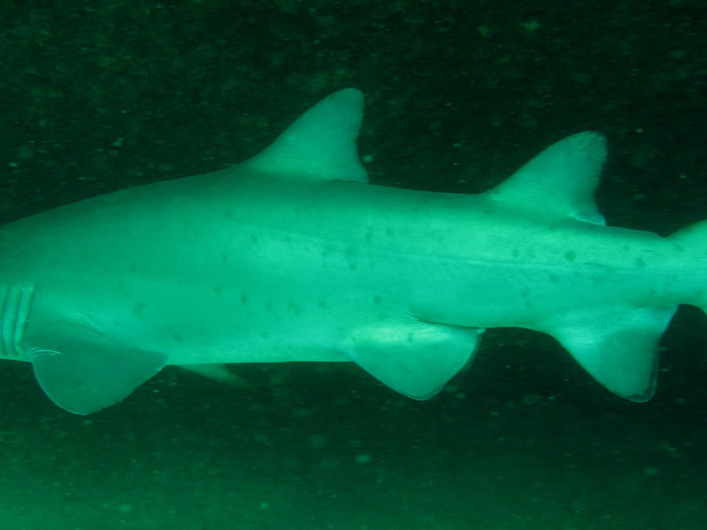 f1fc0a43-48c7-4118-9e28-92b380e39ae4