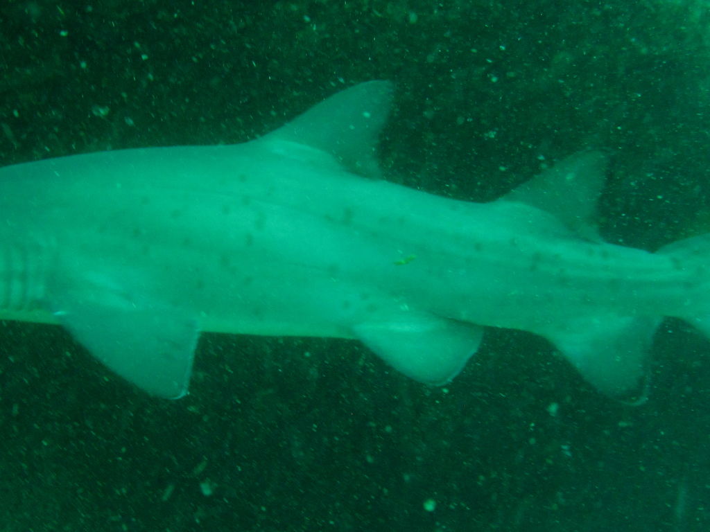 0e969c1c-8f32-4a6a-9584-6977c596b565