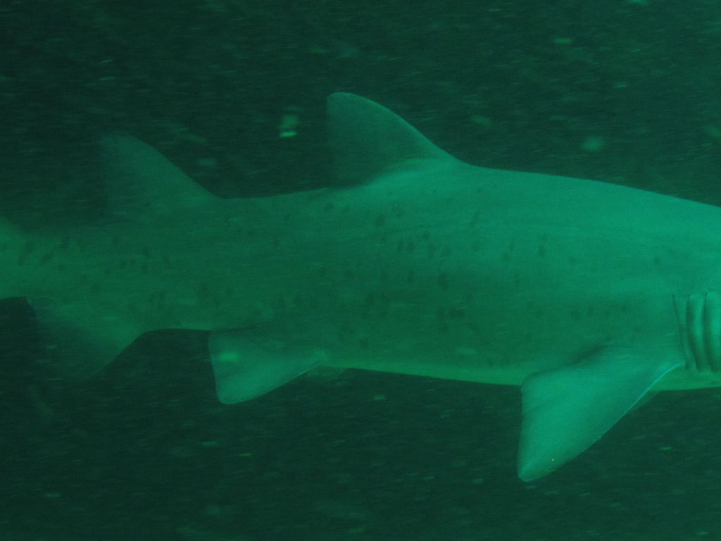 779bc71d-bfcb-4e01-8084-0d92451f4195