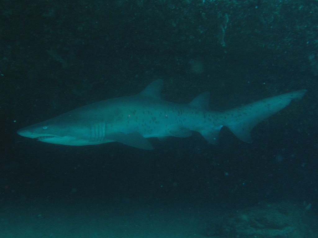 a605564a-6333-488f-a4ce-a47d7f7a4e35