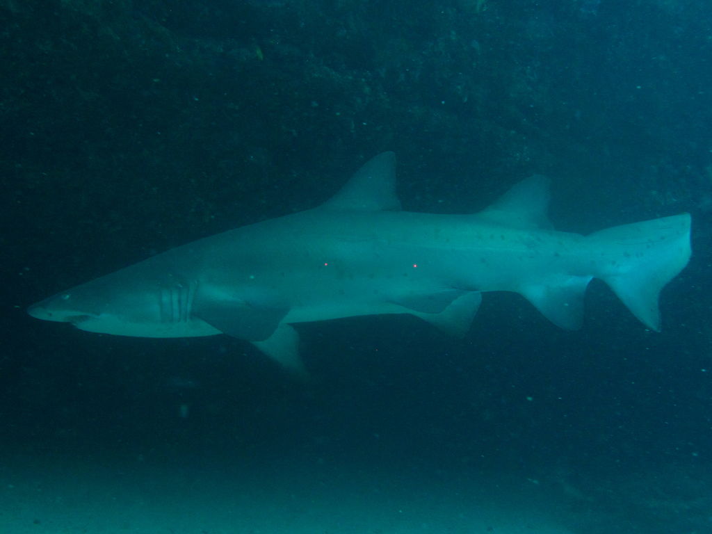 51969bcc-11e6-4e5a-a9cc-73e7e6afacdd