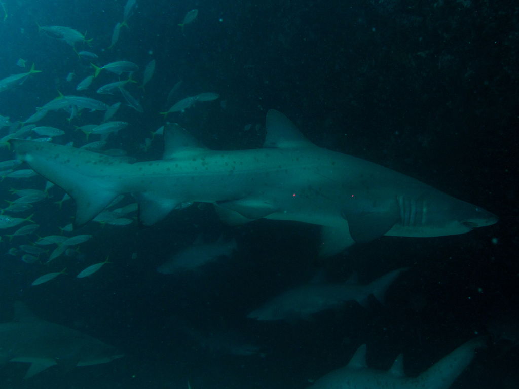 2aaacb1e-105e-44bd-95e7-6826a6c959e0