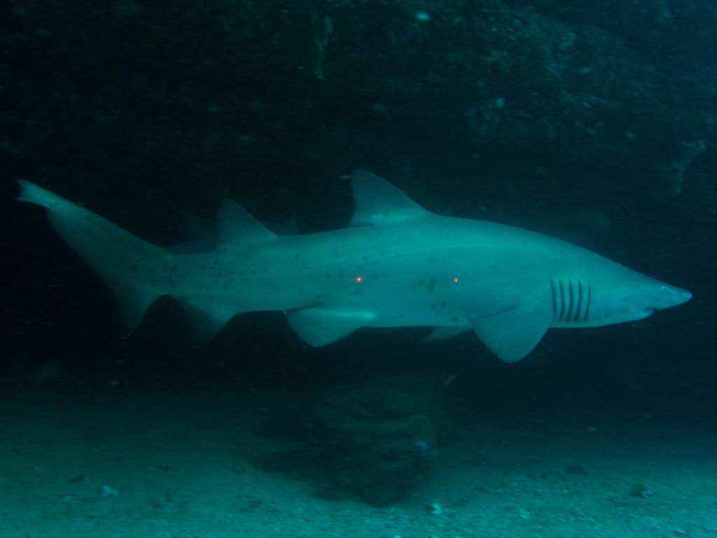 33603e97-c9f9-46f8-ba88-87e3f5c26b26