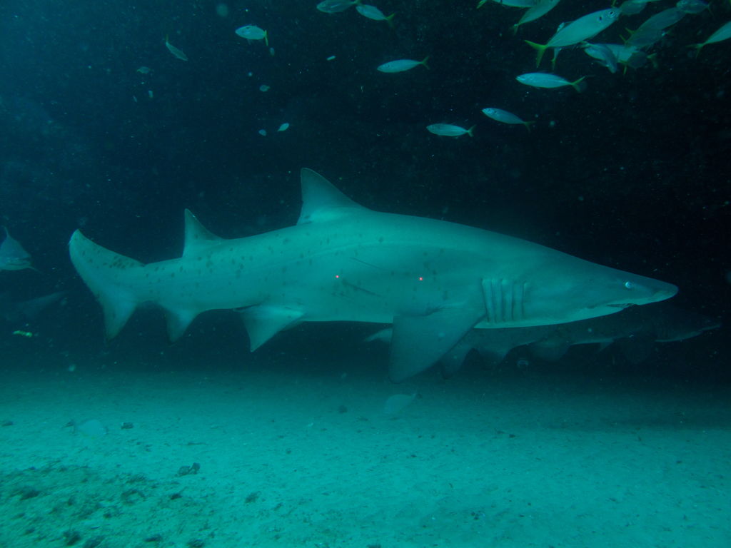 2aaacb1e-105e-44bd-95e7-6826a6c959e0