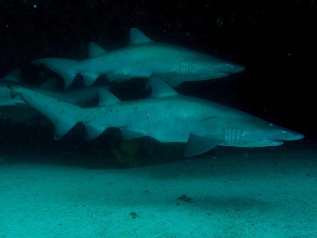 25f1c60e-41e8-459d-97d6-acc79fbe72cd