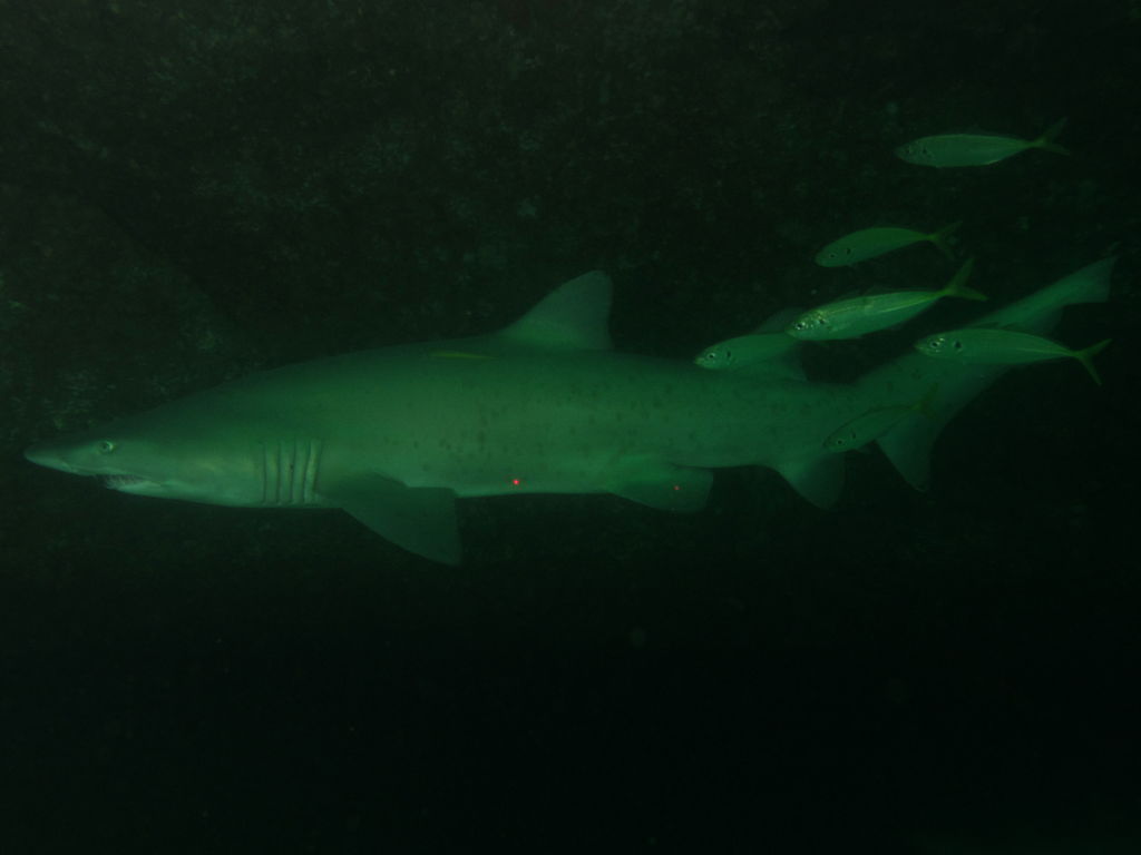 0a07e9c8-a8a0-494f-93fb-fa3fb14bafe7