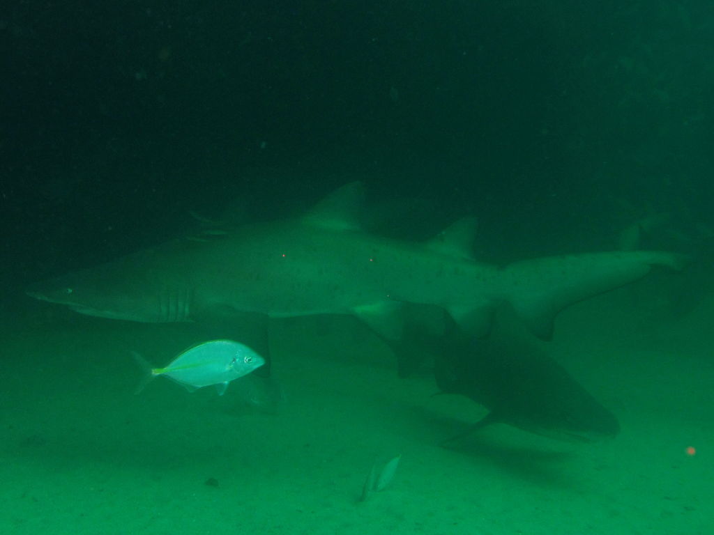 8dfa06ee-6b8f-456b-8f33-d46c07b212ae