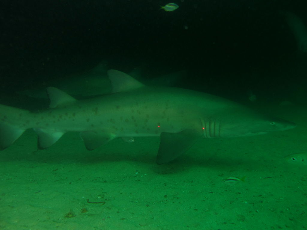 25f1c60e-41e8-459d-97d6-acc79fbe72cd