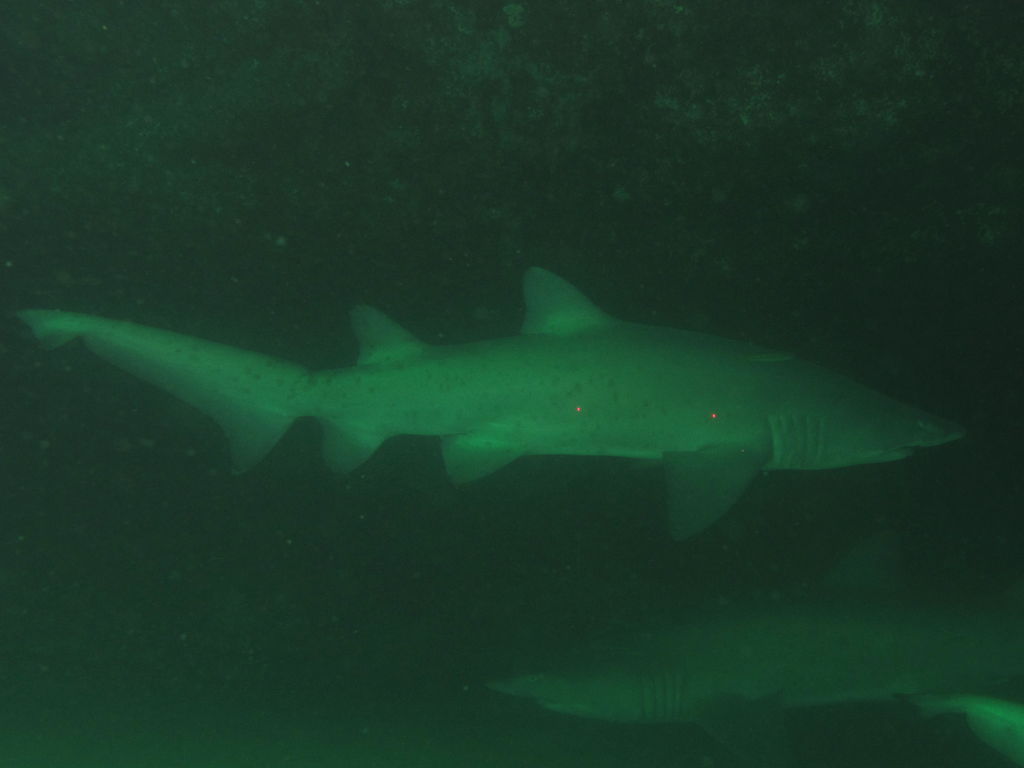 249fe033-7f87-4bfc-a450-d28b16823419