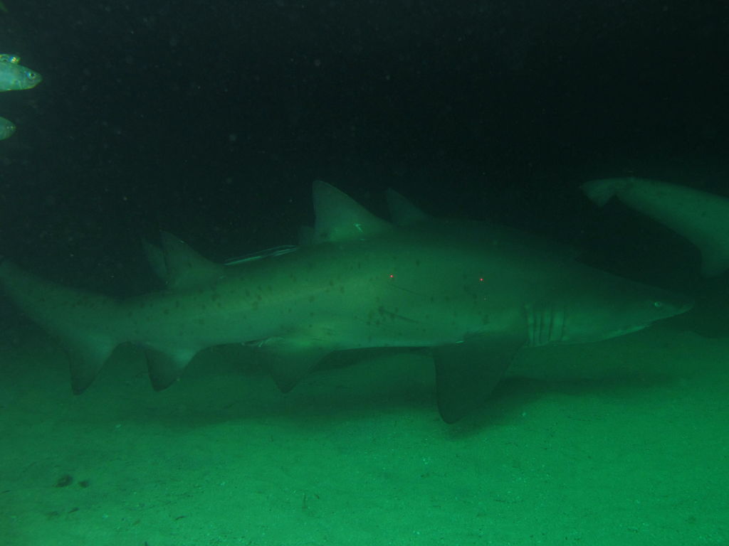 2aaacb1e-105e-44bd-95e7-6826a6c959e0