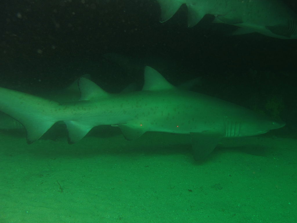 f1e16c80-17f4-4747-b88b-d9cc09d379ec