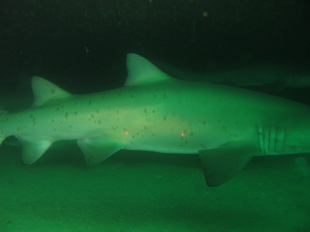 78daf496-5398-4bae-ad42-d124b02dd06e