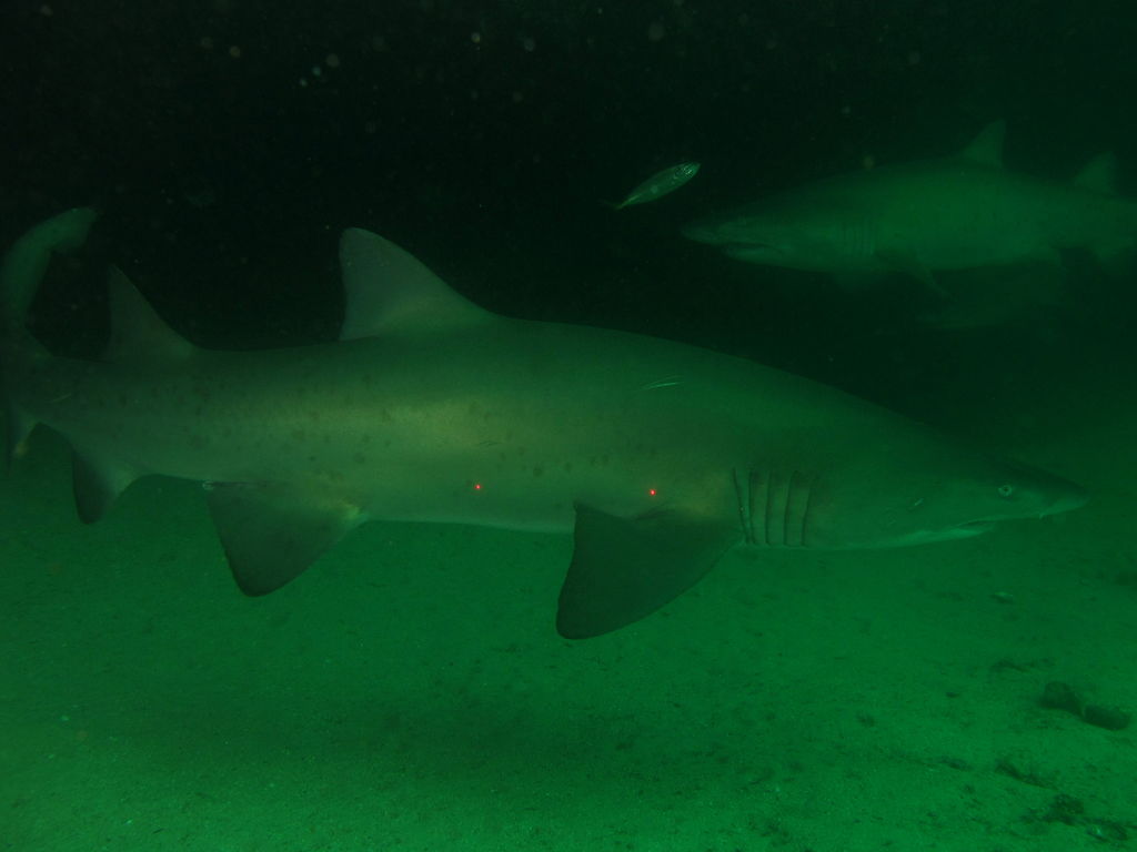 bb13d263-0503-4d6b-a1f7-dde2da0ee295