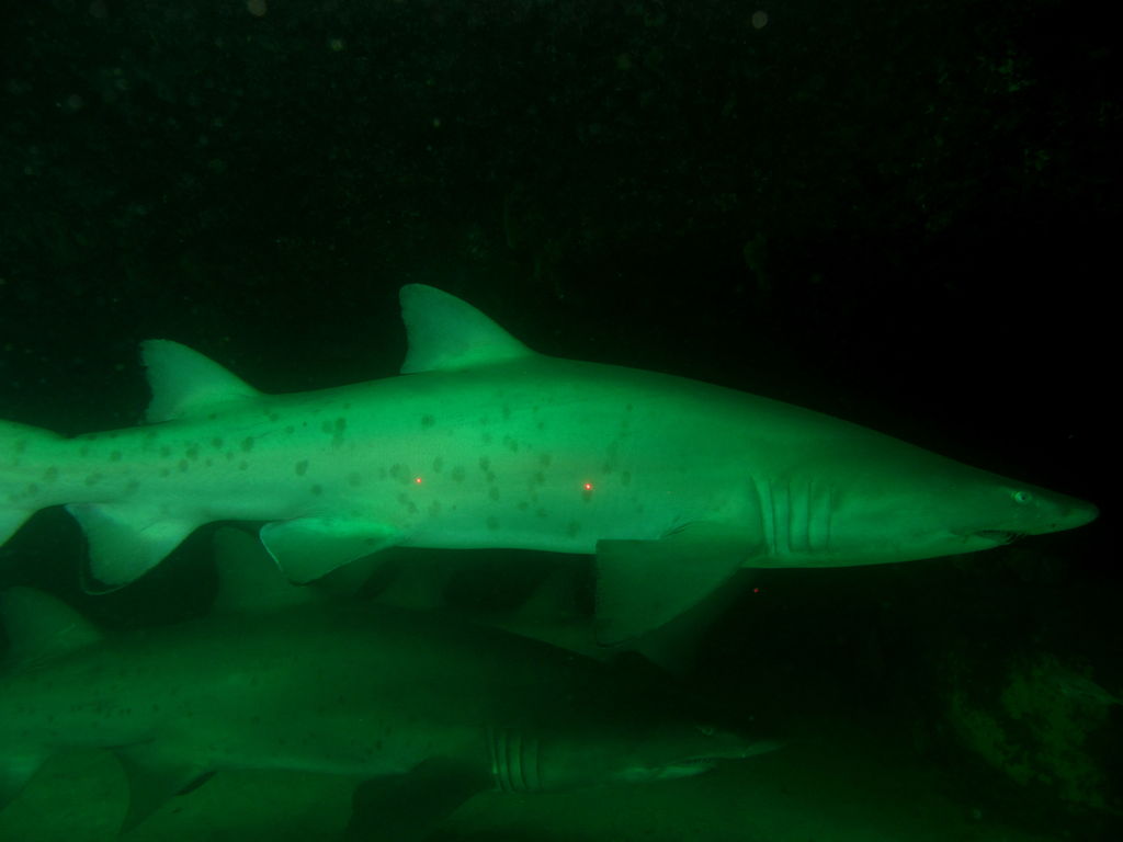 25f1c60e-41e8-459d-97d6-acc79fbe72cd