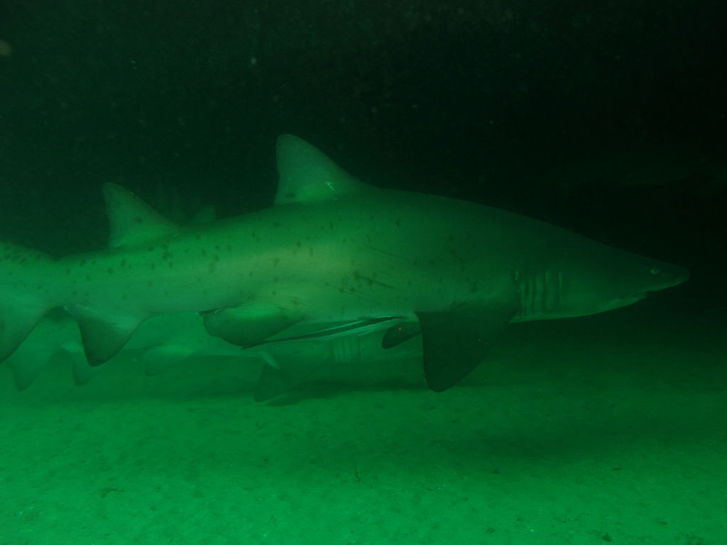 2aaacb1e-105e-44bd-95e7-6826a6c959e0