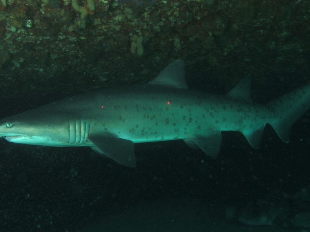 b651baba-70b3-420b-ab38-3cb04bf20907