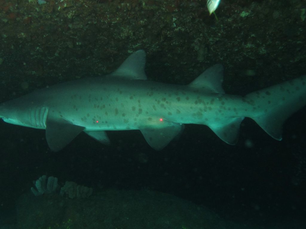 b651baba-70b3-420b-ab38-3cb04bf20907