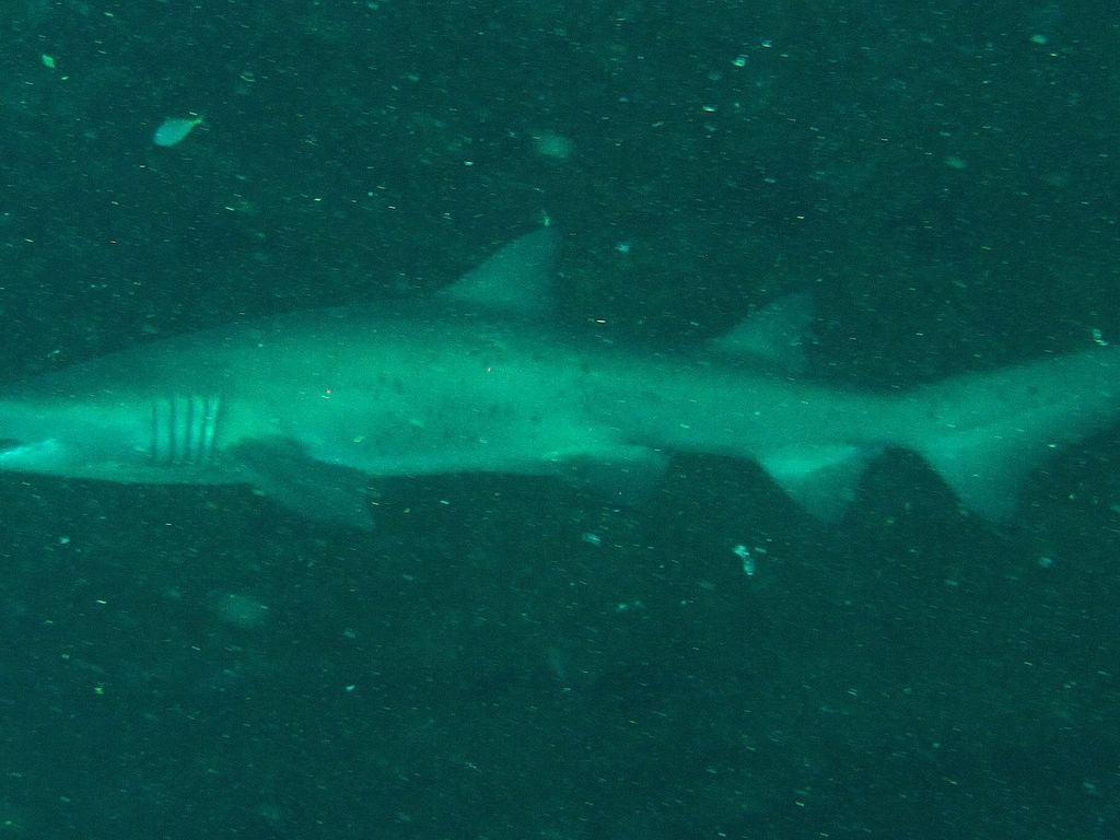 8039fd66-240e-422f-9167-941944284314