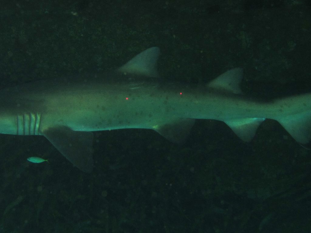 8039fd66-240e-422f-9167-941944284314