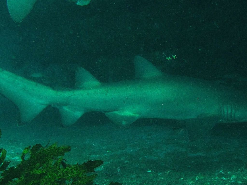 4f60b083-1128-482e-8f17-e009e694875d