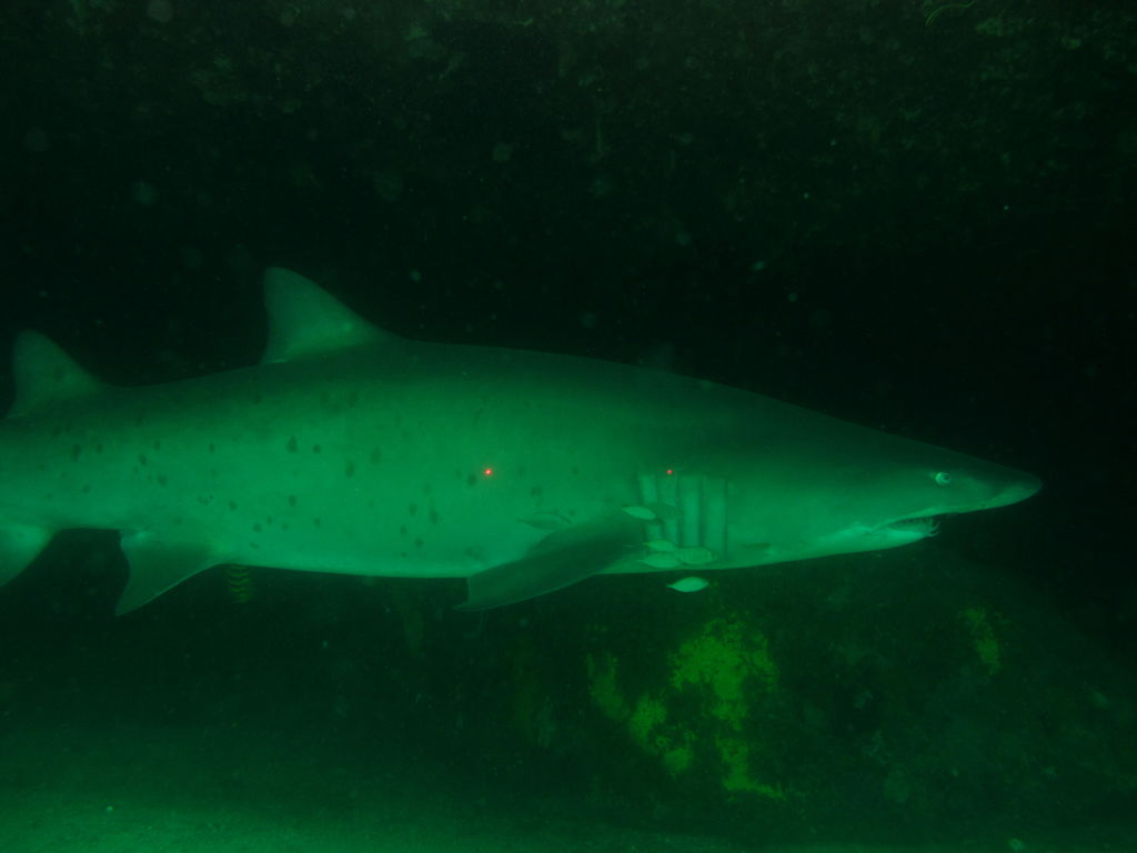 78daf496-5398-4bae-ad42-d124b02dd06e