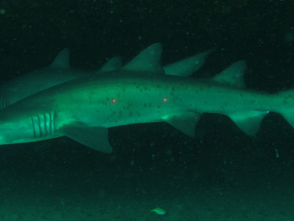 8039fd66-240e-422f-9167-941944284314