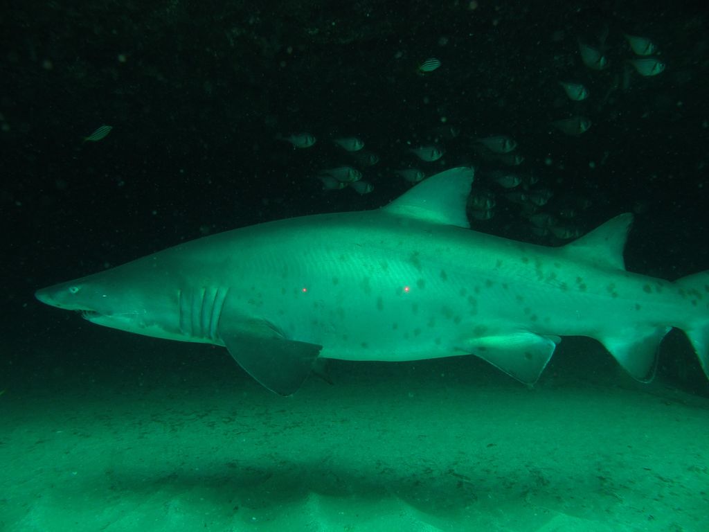 28ec6499-edc8-4a64-a97d-bee4896a56fa