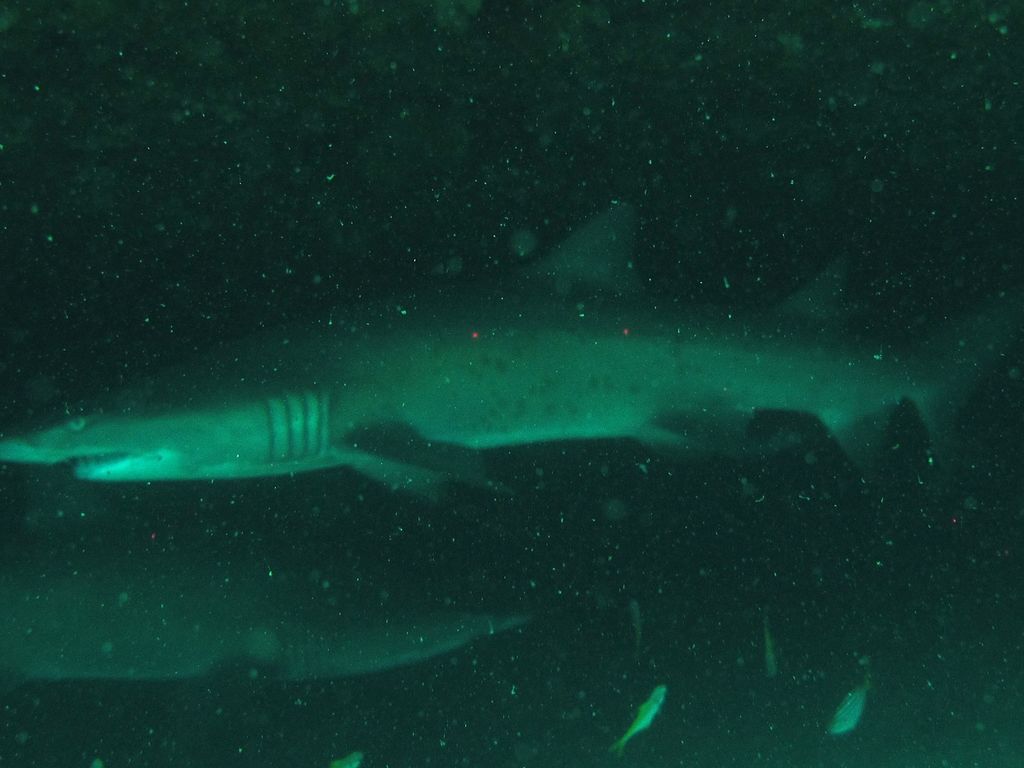 8039fd66-240e-422f-9167-941944284314