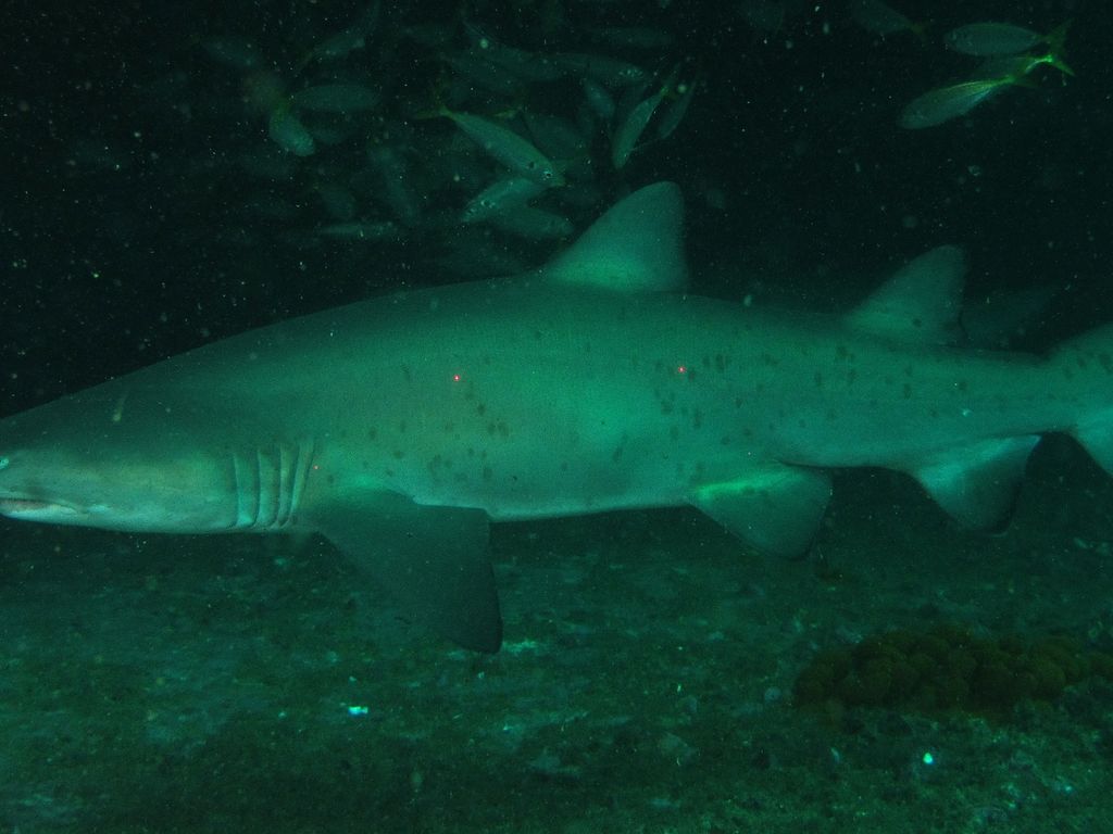 3f64a93d-499f-4fc9-aae2-82b6d564d614