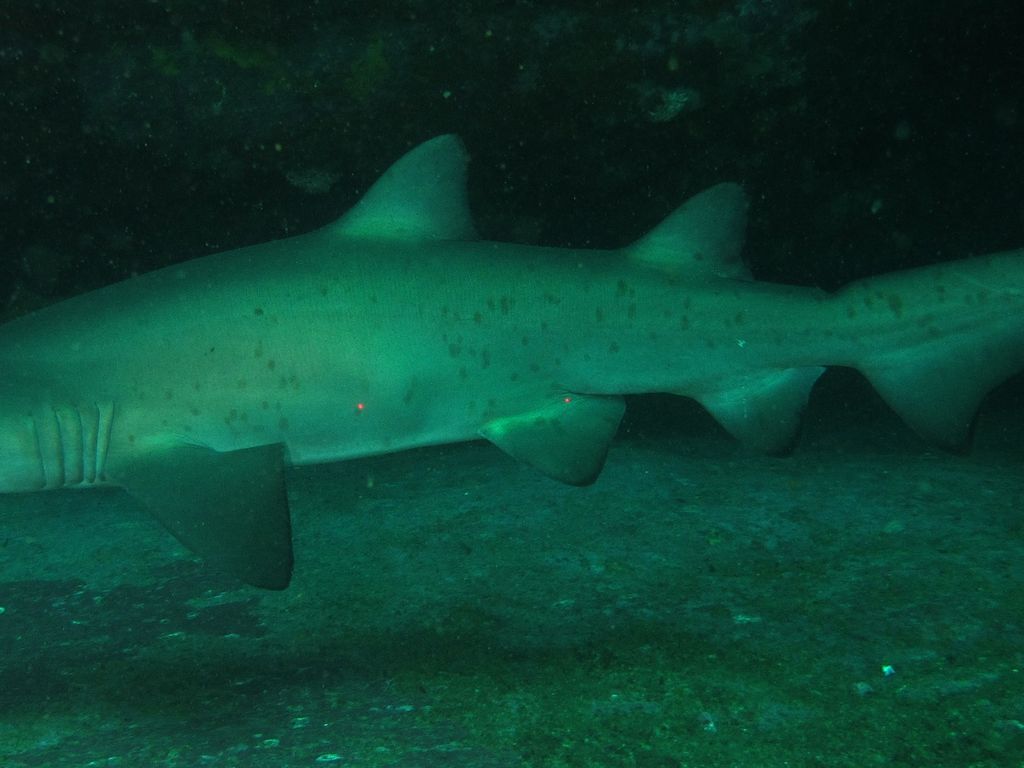 3f64a93d-499f-4fc9-aae2-82b6d564d614