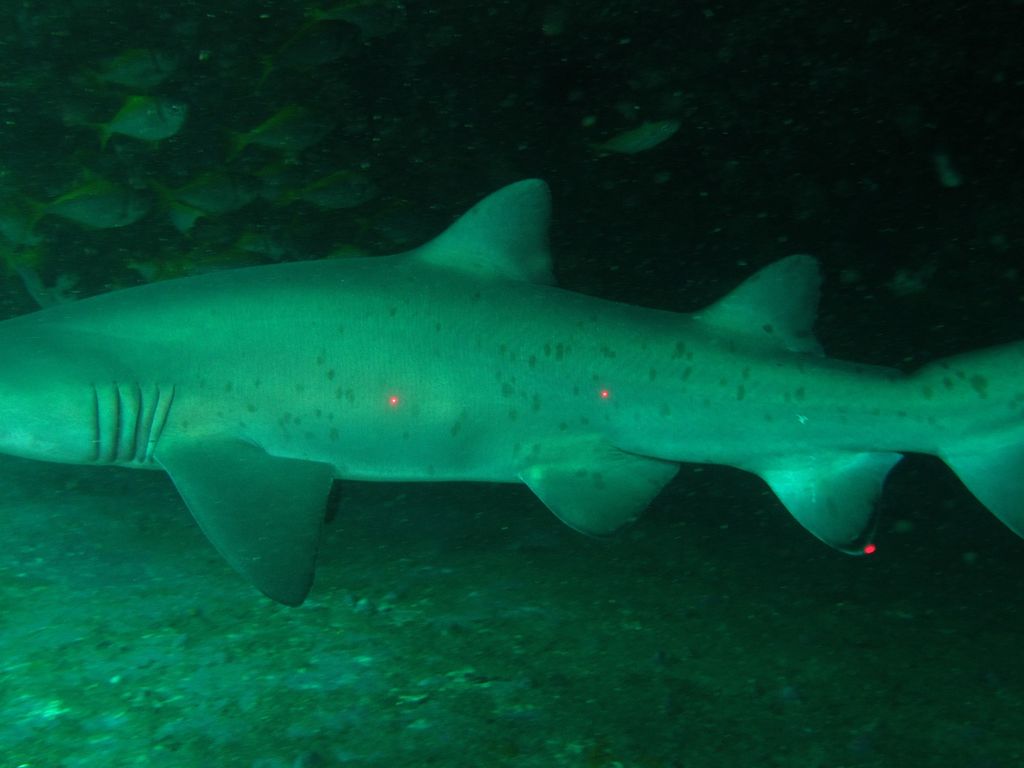 3f64a93d-499f-4fc9-aae2-82b6d564d614