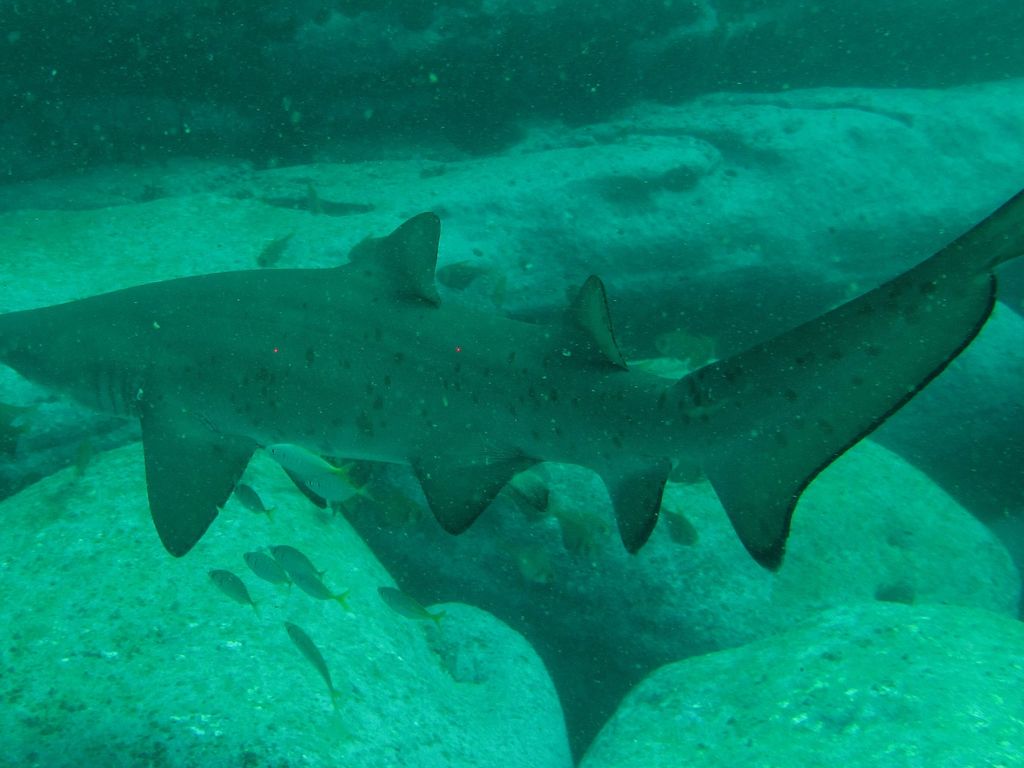 e800577e-97f8-4659-a888-3db60d2b5419