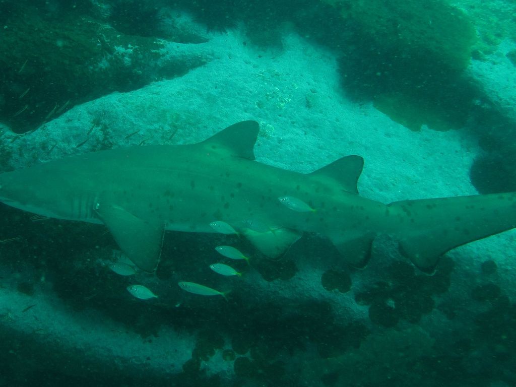 e800577e-97f8-4659-a888-3db60d2b5419