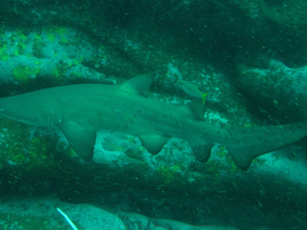 e800577e-97f8-4659-a888-3db60d2b5419