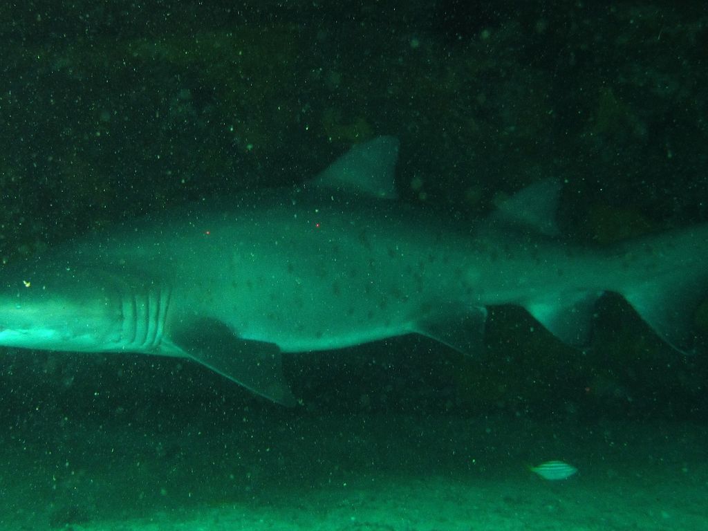 28ec6499-edc8-4a64-a97d-bee4896a56fa